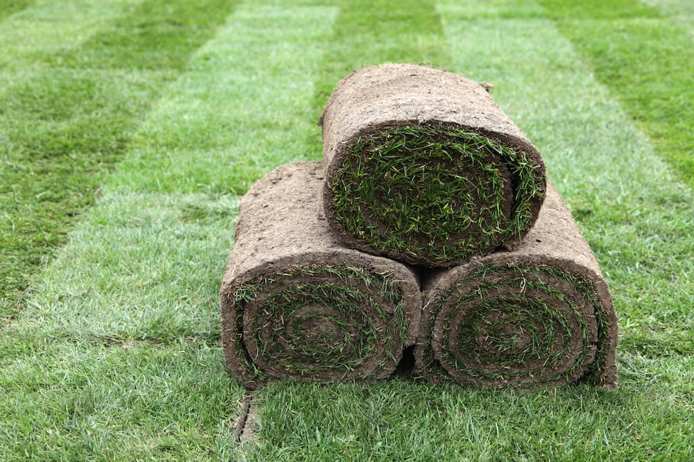 2021 Zoysia Sod Cost Zoysia Grass Sod Prices